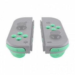 NS JoyCon Soft Touch 16 piece Button Kit Silky Soft Touch Mint Green